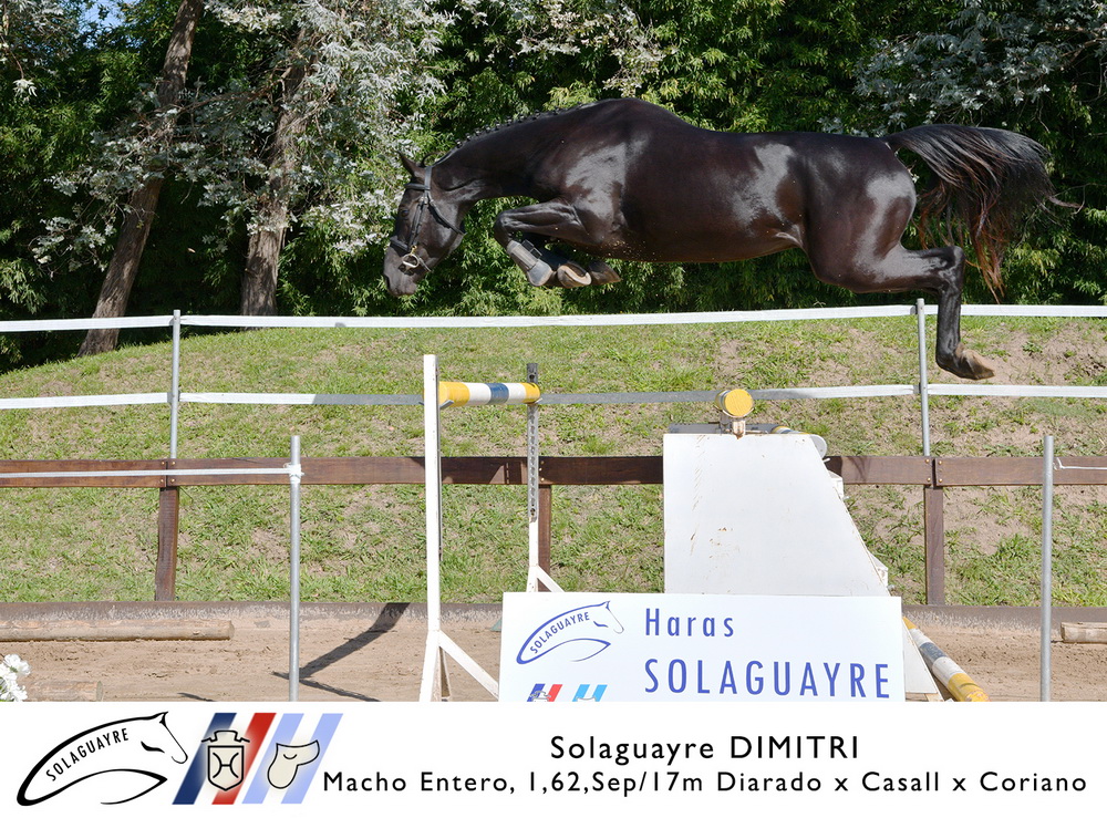 SOLAGUAYRE DIMITRI